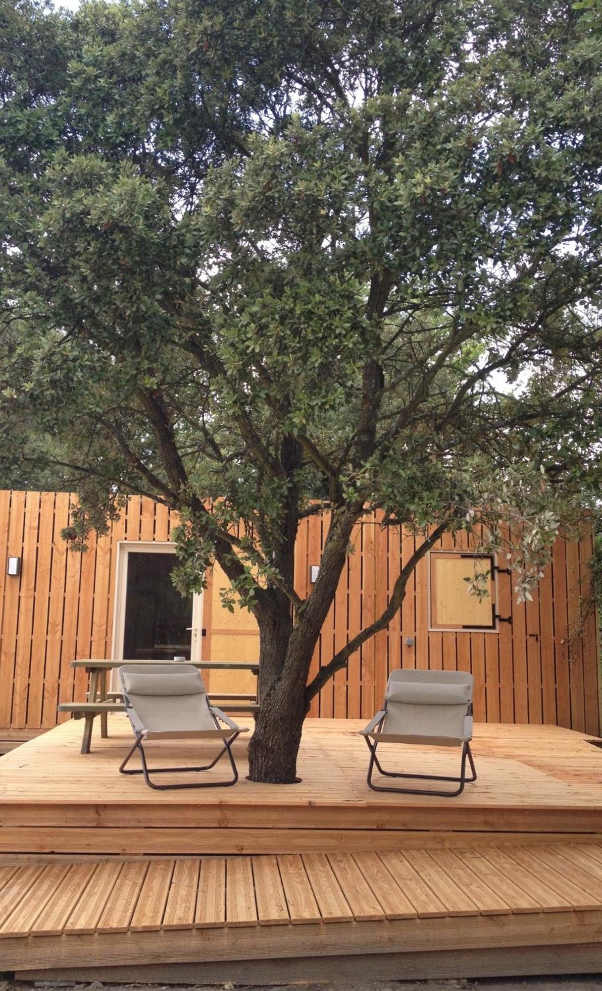 Lodges En Provence - Ecogites & Restaurant Insolites Richerenches Habitación foto